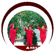 hahabet|哈哈体育星辰大海官方网站-梦想从这里