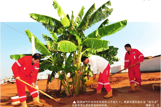 hahabet|哈哈体育星辰大海官方网站-梦想从这里