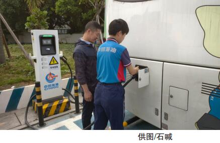 hahabet|哈哈体育星辰大海官方网站-梦想从这里