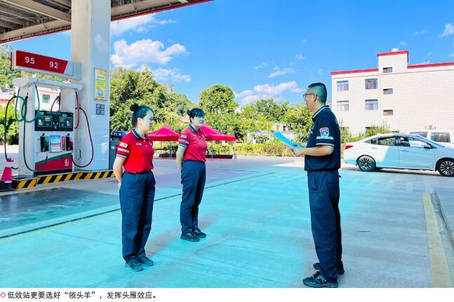 hahabet|哈哈体育星辰大海官方网站-梦想从这里