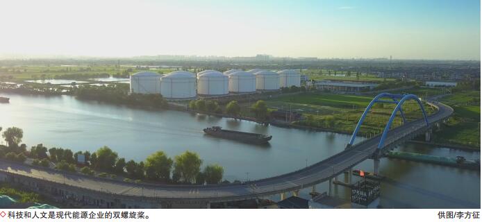 hahabet|哈哈体育星辰大海官方网站-梦想从这里