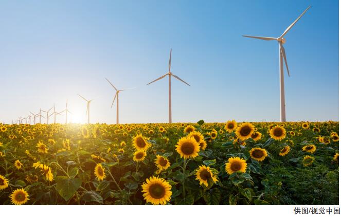 hahabet|哈哈体育星辰大海官方网站-梦想从这里