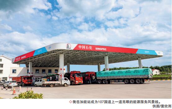 hahabet|哈哈体育星辰大海官方网站-梦想从这里