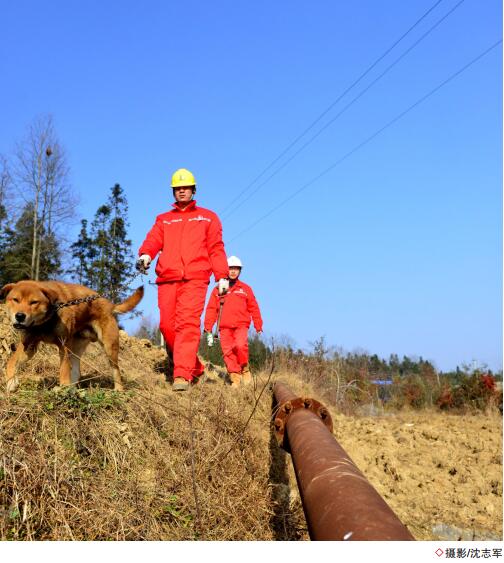 hahabet|哈哈体育星辰大海官方网站-梦想从这里