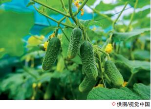 hahabet|哈哈体育星辰大海官方网站-梦想从这里