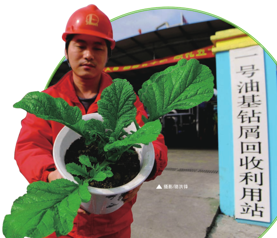 hahabet|哈哈体育星辰大海官方网站-梦想从这里
