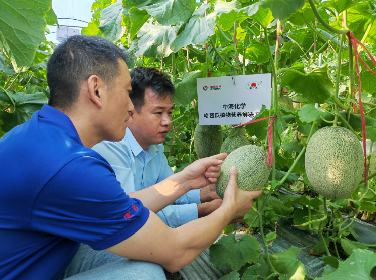 hahabet|哈哈体育星辰大海官方网站-梦想从这里
