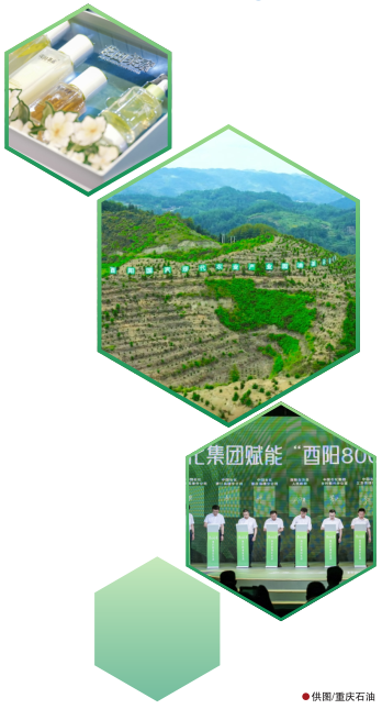hahabet|哈哈体育星辰大海官方网站-梦想从这里