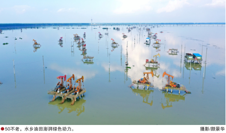 hahabet|哈哈体育星辰大海官方网站-梦想从这里