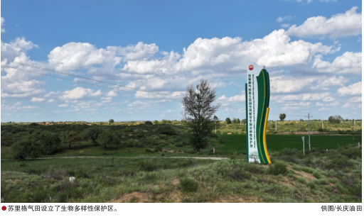 hahabet|哈哈体育星辰大海官方网站-梦想从这里