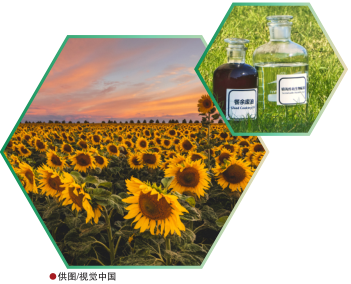 hahabet|哈哈体育星辰大海官方网站-梦想从这里