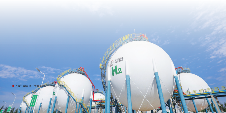 hahabet|哈哈体育星辰大海官方网站-梦想从这里