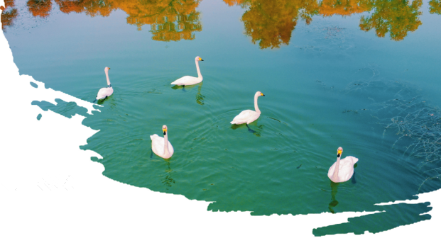 hahabet|哈哈体育星辰大海官方网站-梦想从这里