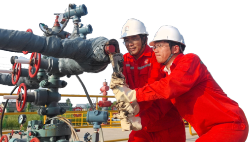 hahabet|哈哈体育星辰大海官方网站-梦想从这里