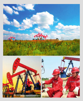 hahabet|哈哈体育星辰大海官方网站-梦想从这里