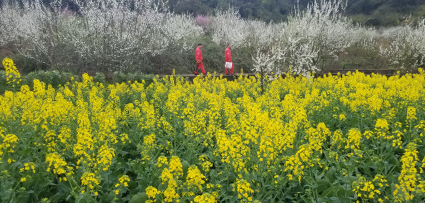 hahabet|哈哈体育星辰大海官方网站-梦想从这里