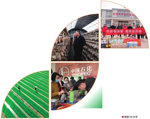 hahabet|哈哈体育星辰大海官方网站-梦想从这里