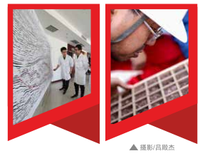 hahabet|哈哈体育星辰大海官方网站-梦想从这里
