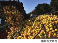 hahabet|哈哈体育星辰大海官方网站-梦想从这里