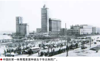 hahabet|哈哈体育星辰大海官方网站-梦想从这里