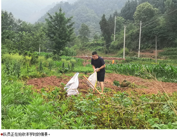 hahabet|哈哈体育星辰大海官方网站-梦想从这里