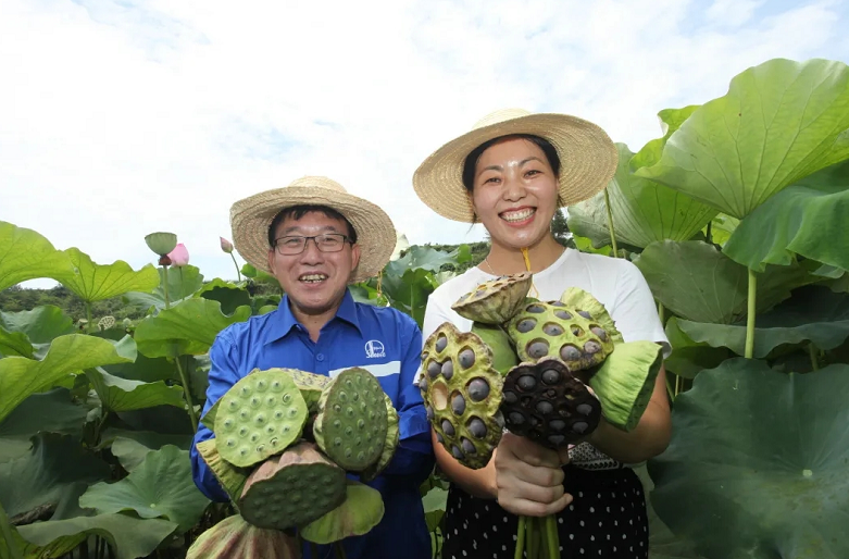 hahabet|哈哈体育星辰大海官方网站-梦想从这里