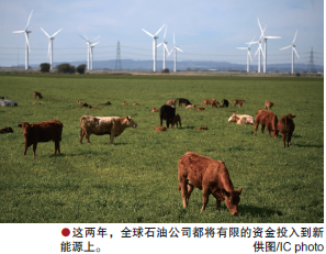 hahabet|哈哈体育星辰大海官方网站-梦想从这里