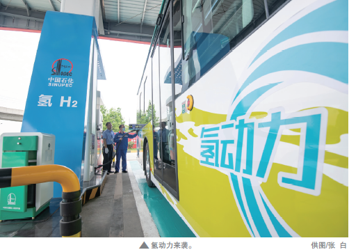 hahabet|哈哈体育星辰大海官方网站-梦想从这里