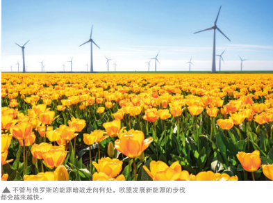hahabet|哈哈体育星辰大海官方网站-梦想从这里