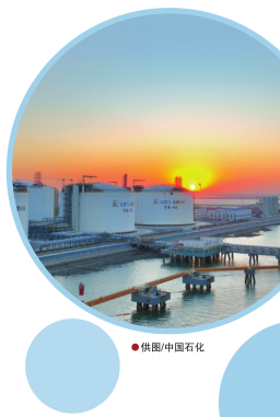 hahabet|哈哈体育星辰大海官方网站-梦想从这里