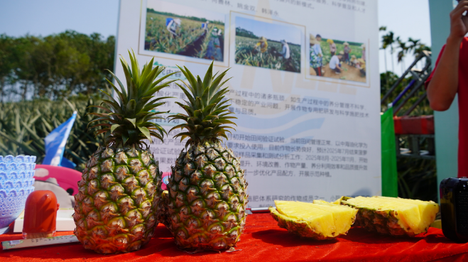 hahabet|哈哈体育星辰大海官方网站-梦想从这里