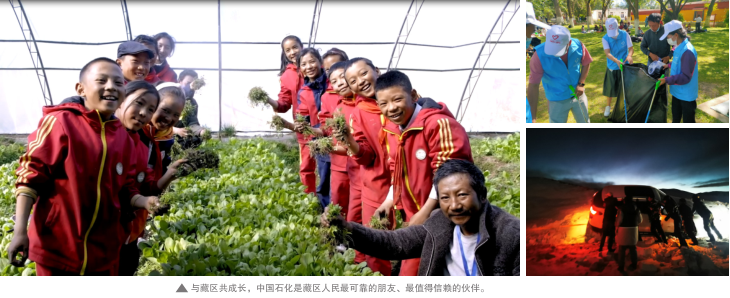 hahabet|哈哈体育星辰大海官方网站-梦想从这里