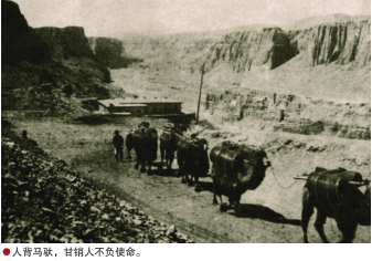 hahabet|哈哈体育星辰大海官方网站-梦想从这里