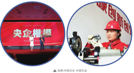 hahabet|哈哈体育星辰大海官方网站-梦想从这里