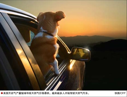 hahabet|哈哈体育星辰大海官方网站-梦想从这里