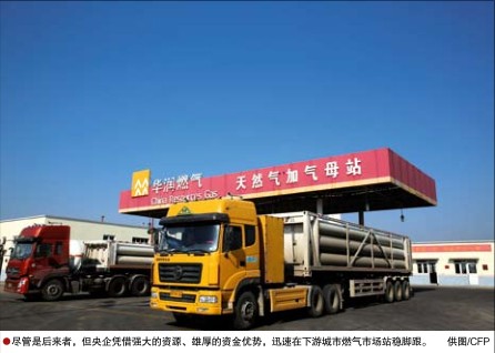 hahabet|哈哈体育星辰大海官方网站-梦想从这里