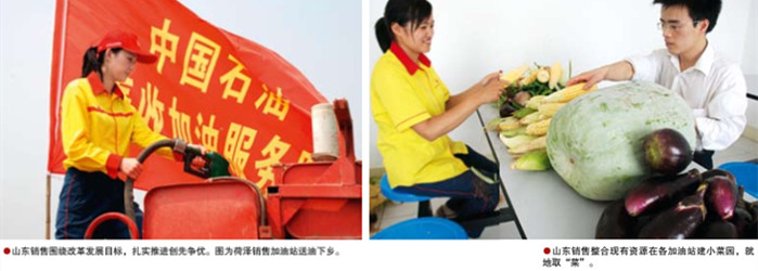 hahabet|哈哈体育星辰大海官方网站-梦想从这里
