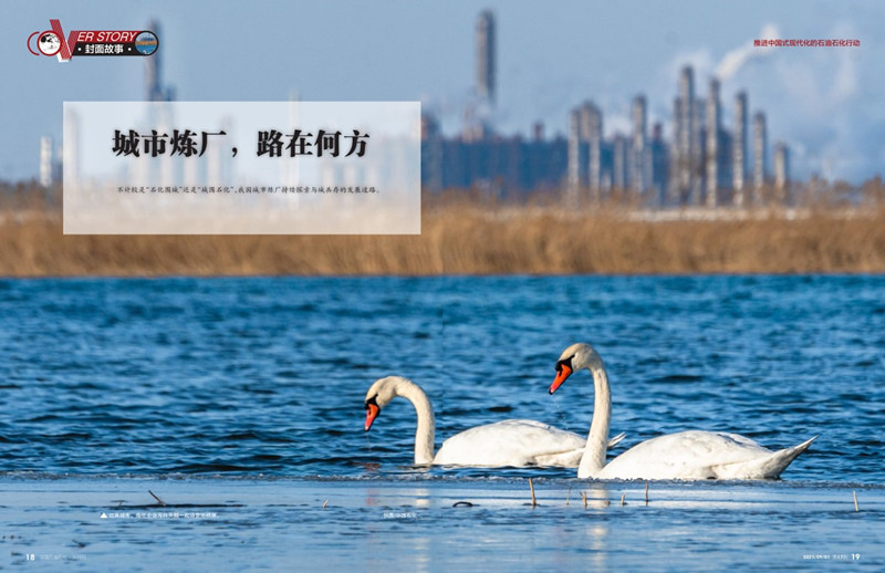 hahabet|哈哈体育星辰大海官方网站-梦想从这里