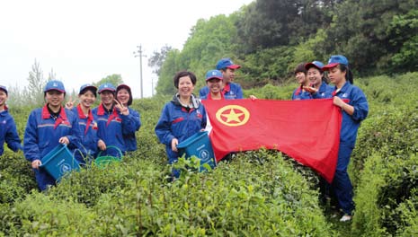 hahabet|哈哈体育星辰大海官方网站-梦想从这里