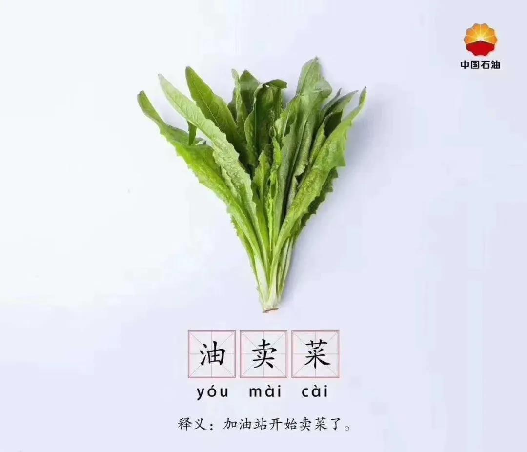 hahabet|哈哈体育星辰大海官方网站-梦想从这里