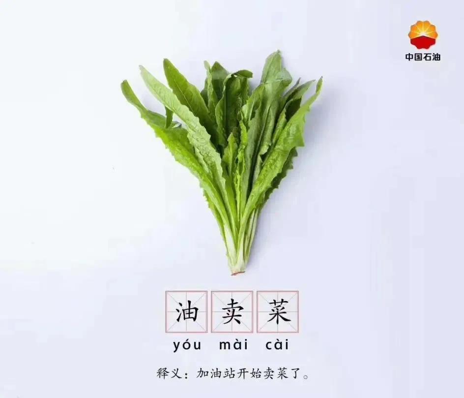 hahabet|哈哈体育星辰大海官方网站-梦想从这里
