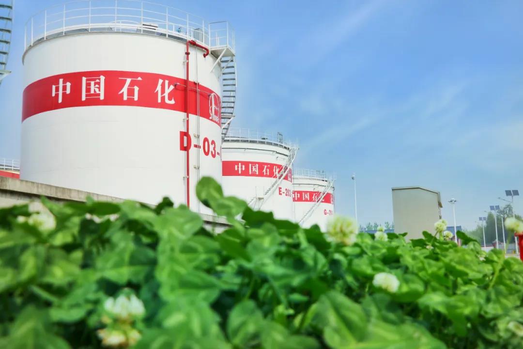 hahabet|哈哈体育星辰大海官方网站-梦想从这里