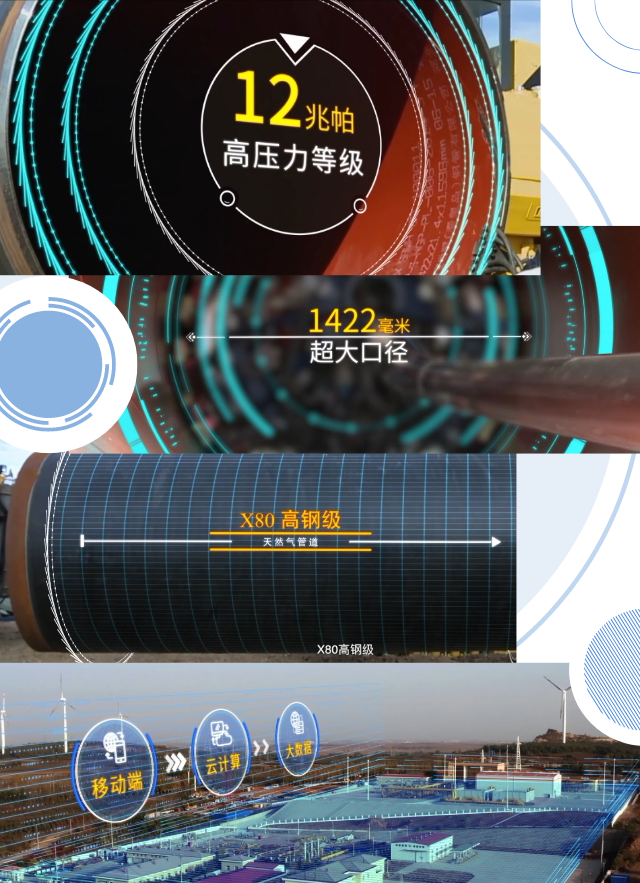 hahabet|哈哈体育星辰大海官方网站-梦想从这里