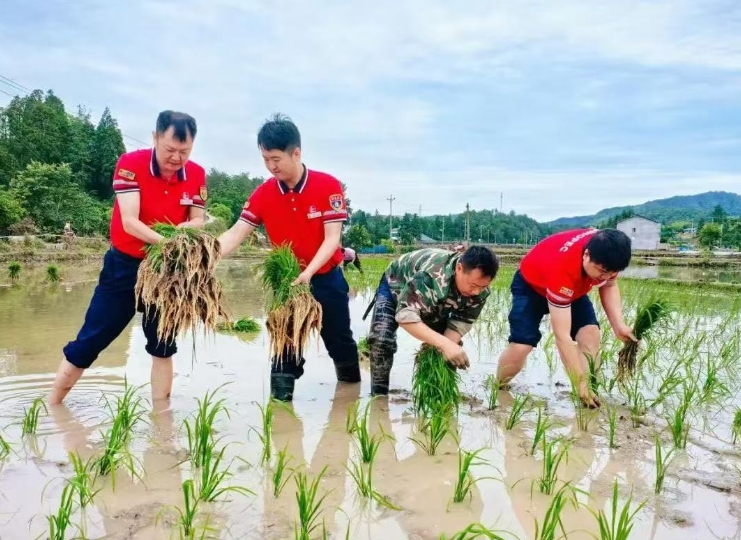 hahabet|哈哈体育星辰大海官方网站-梦想从这里