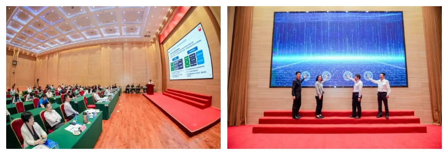 hahabet|哈哈体育星辰大海官方网站-梦想从这里